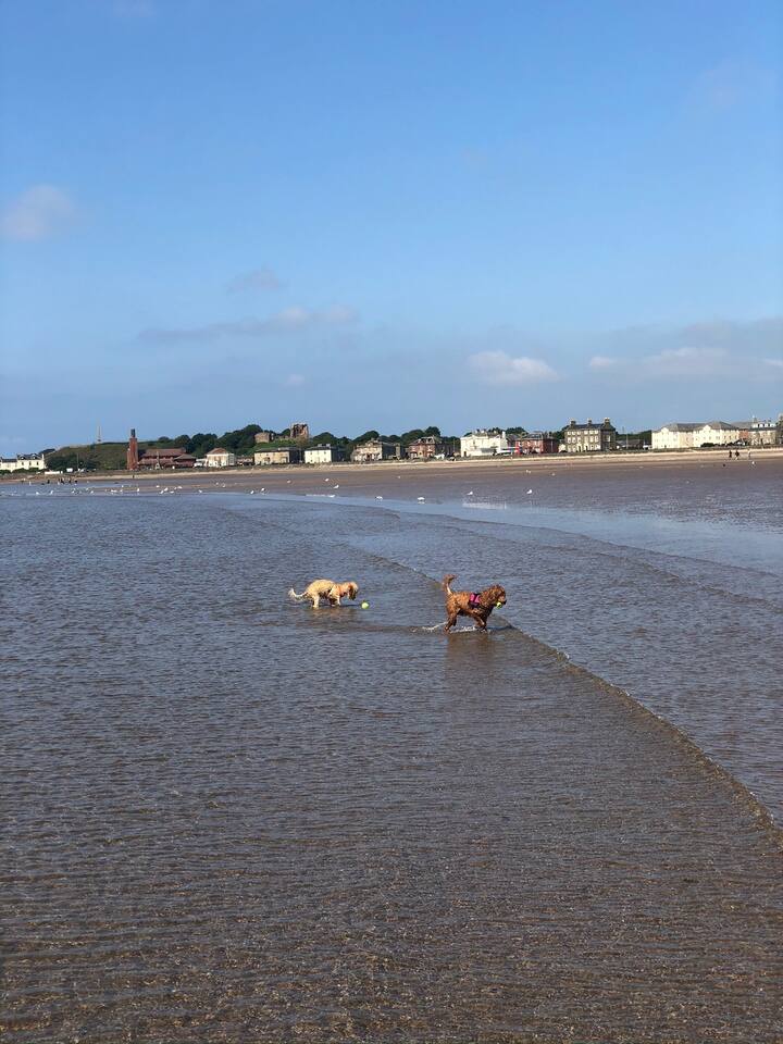 Top 10 Airbnb Vacation Rentals In Ardrossan, Scotland Updated 2024