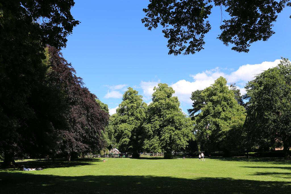 Beautiful Park