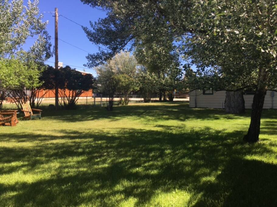 Spacious Back Yard