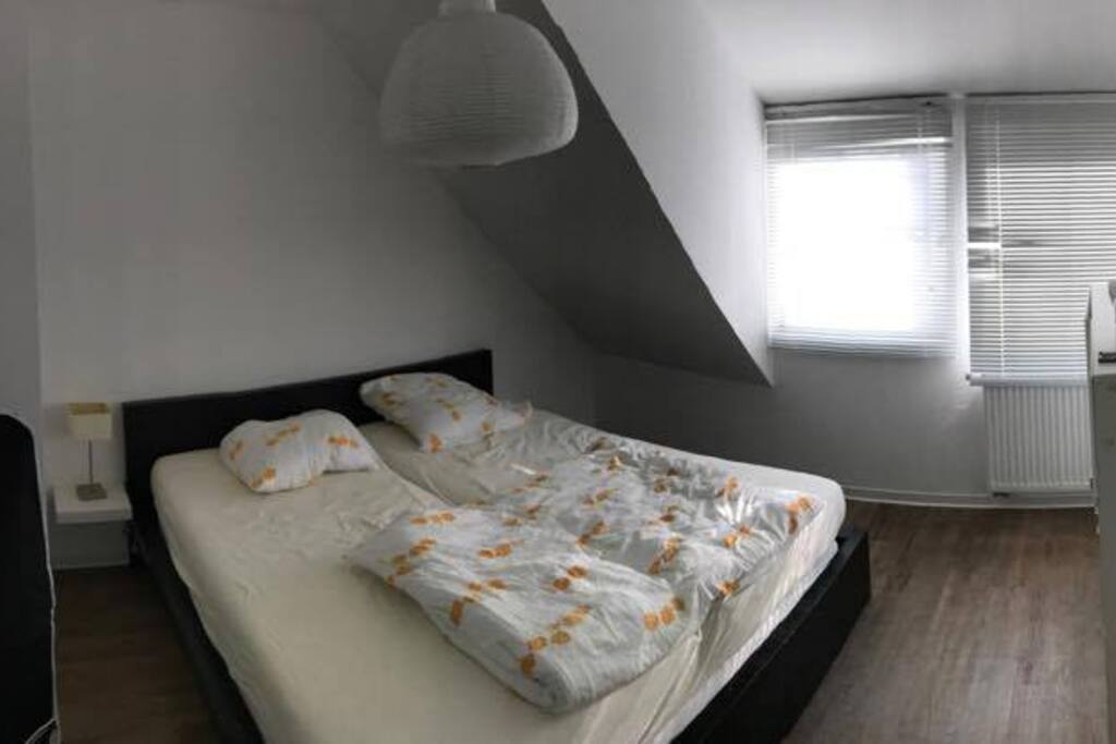 Room Or Apartment For Rent In Bonn Room Or Apartment For Rent In Bonn