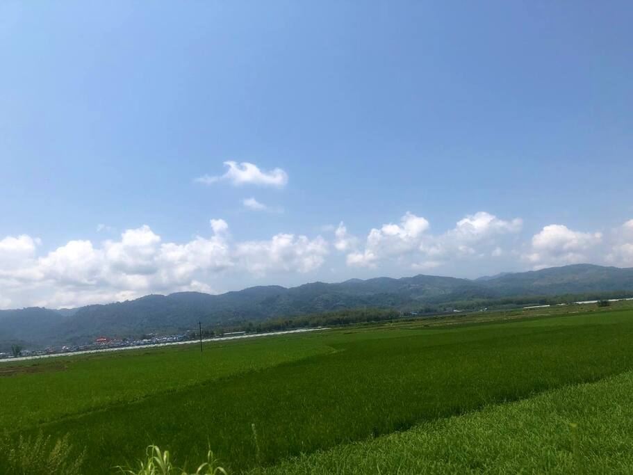 沿途自然风光 空气也开始甜起来