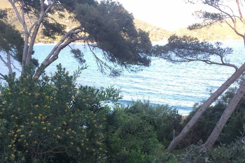 Une nature à découvrir dans le Golfe de Saint-Tropez.