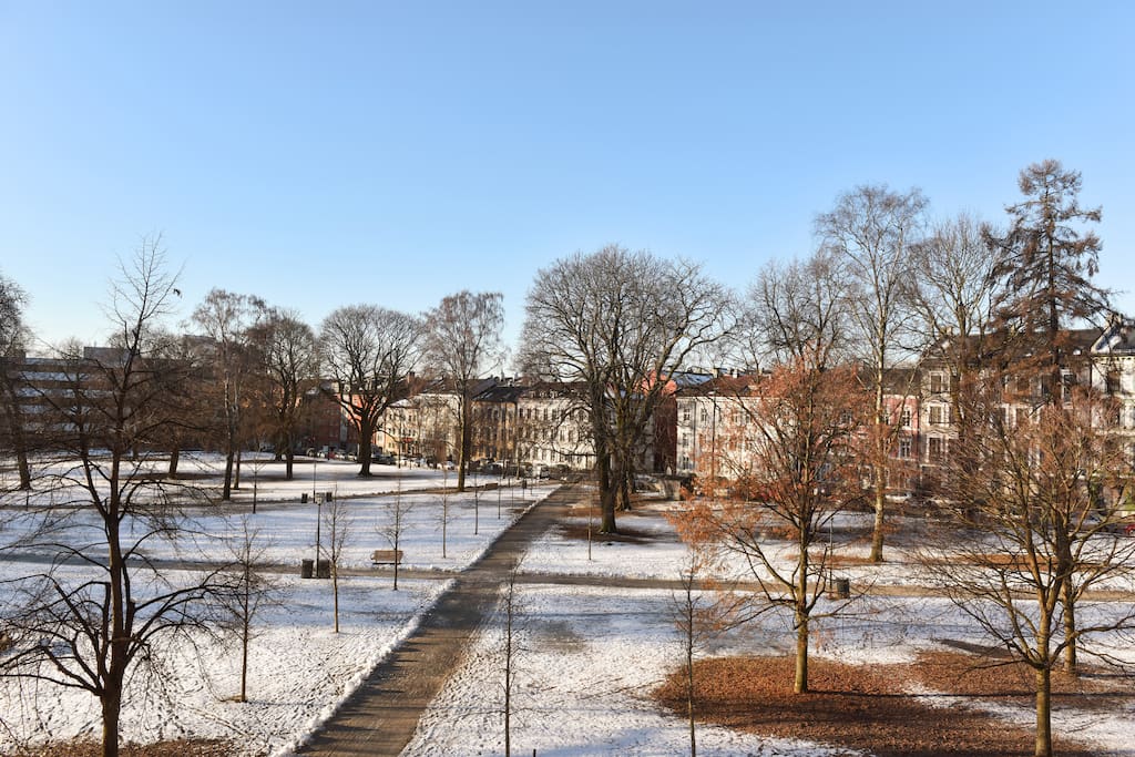 View to Sofienbergsparken. View from Third floor living & bed room.