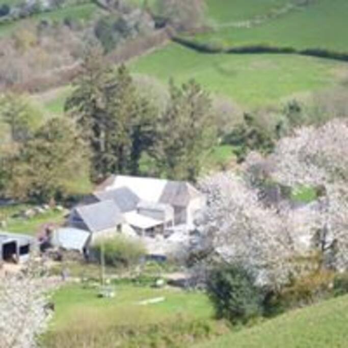 View of the farm