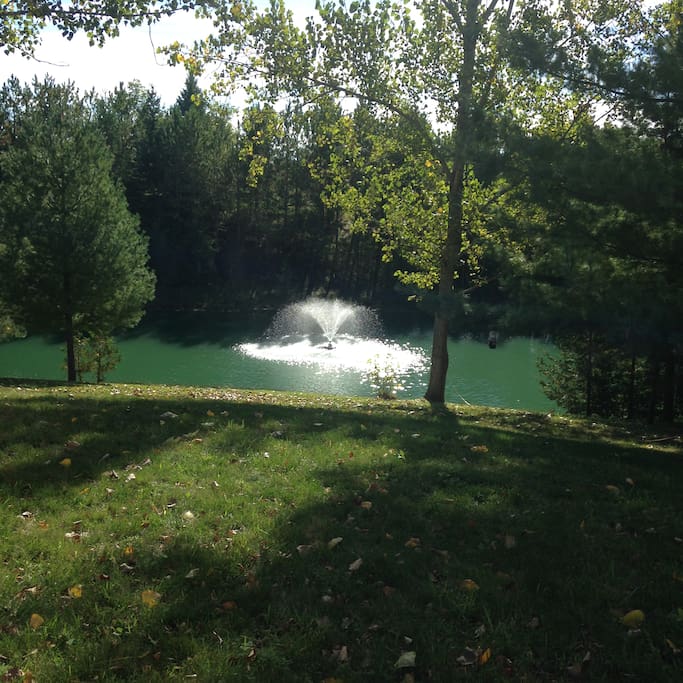 natural pond