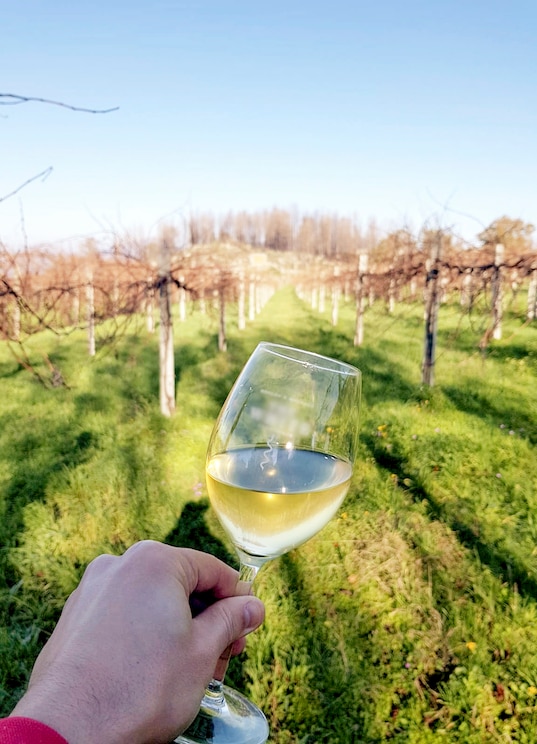 Show full-screen, host-provided image