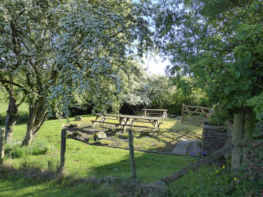 Picnic area with bbq