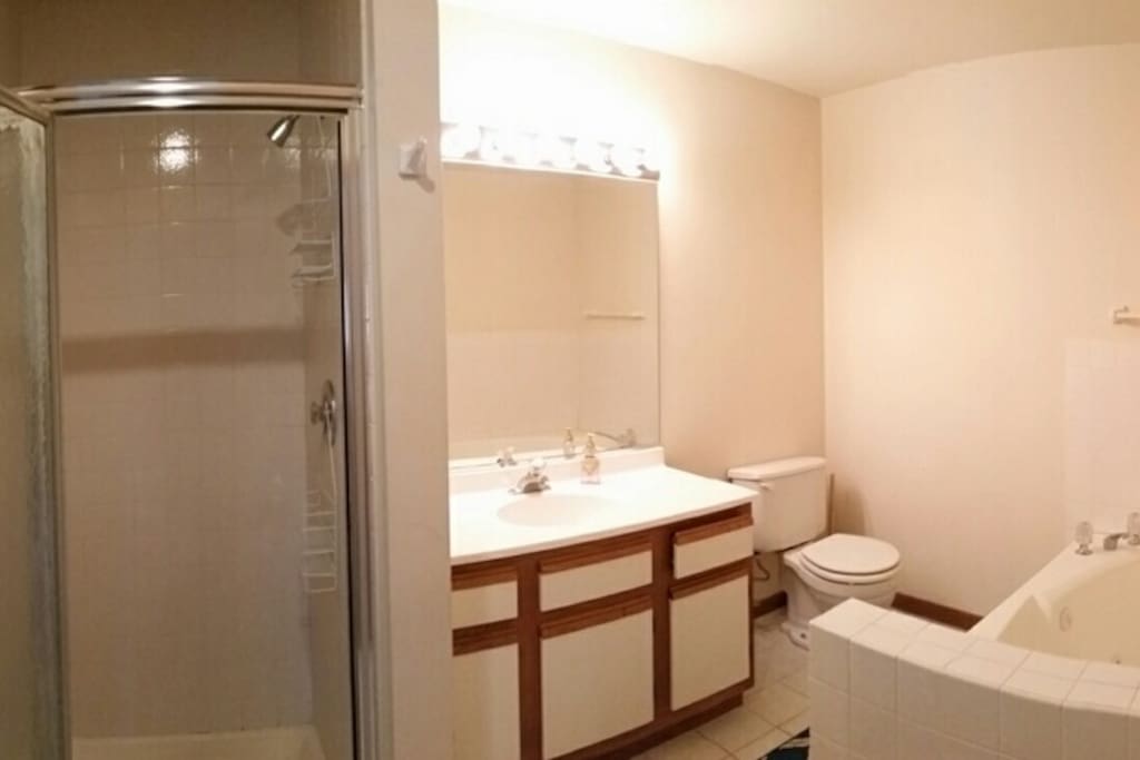 Private bathroom with jacuzzi and shower