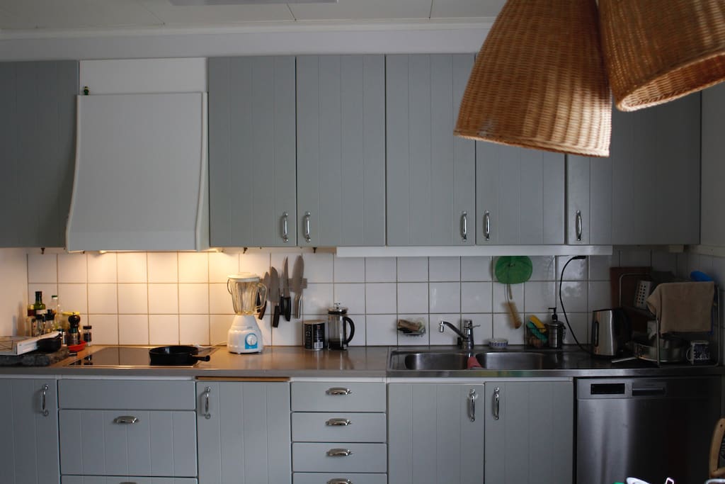Induktionshäll, arbetsyta, diskbänk, diskmaskin m.m. Vattenkokare och kaffepress (ej kaffebryggare)