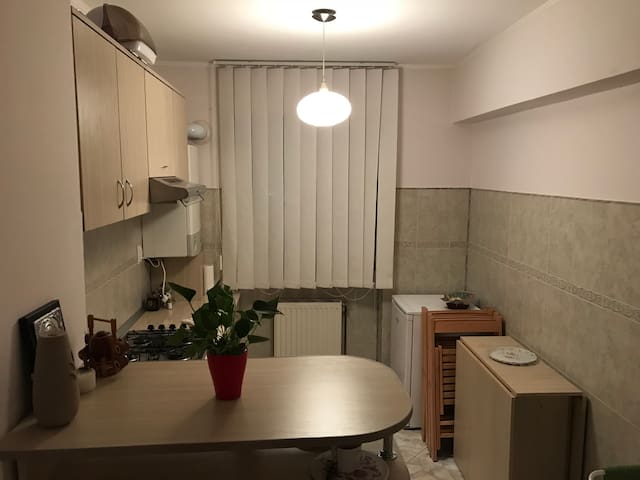Awesome home near Peles Castle?
