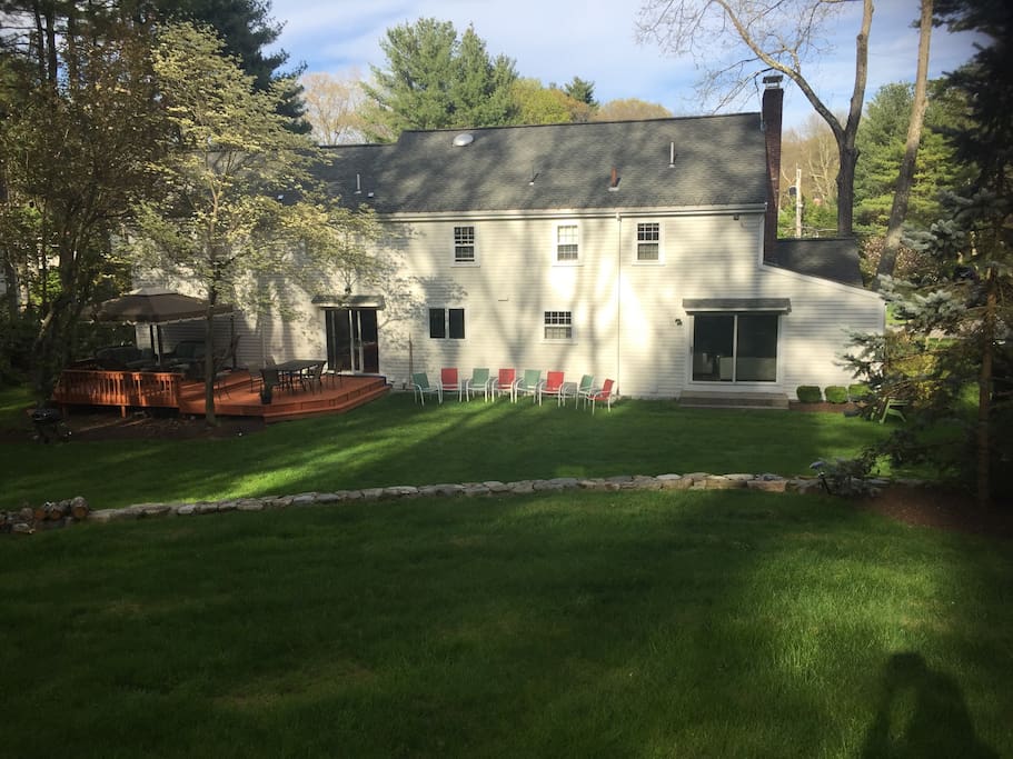 Back yard