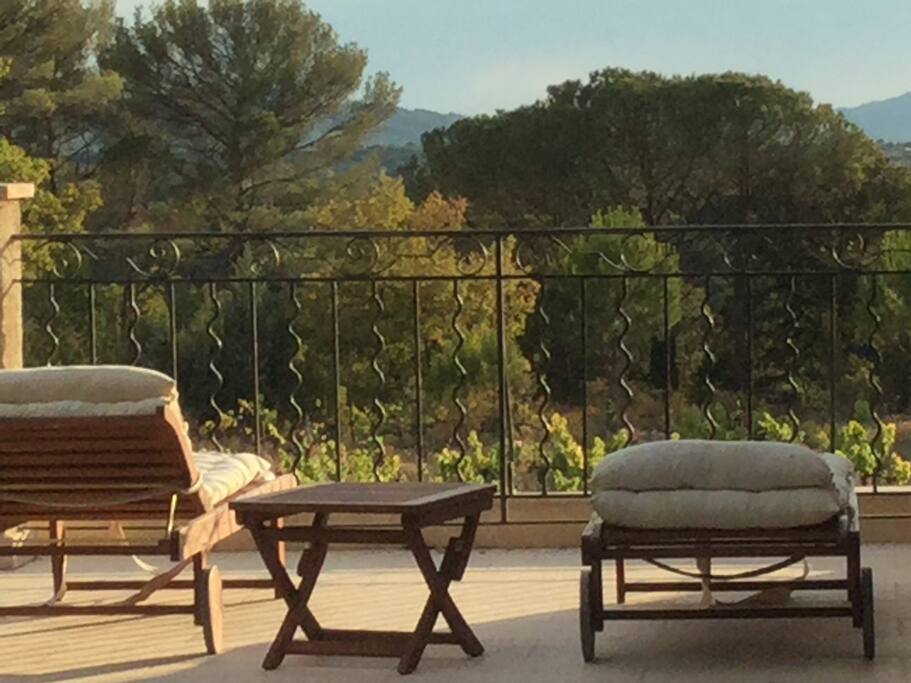Vue de votre terrasse privative sur les vignes du domaine