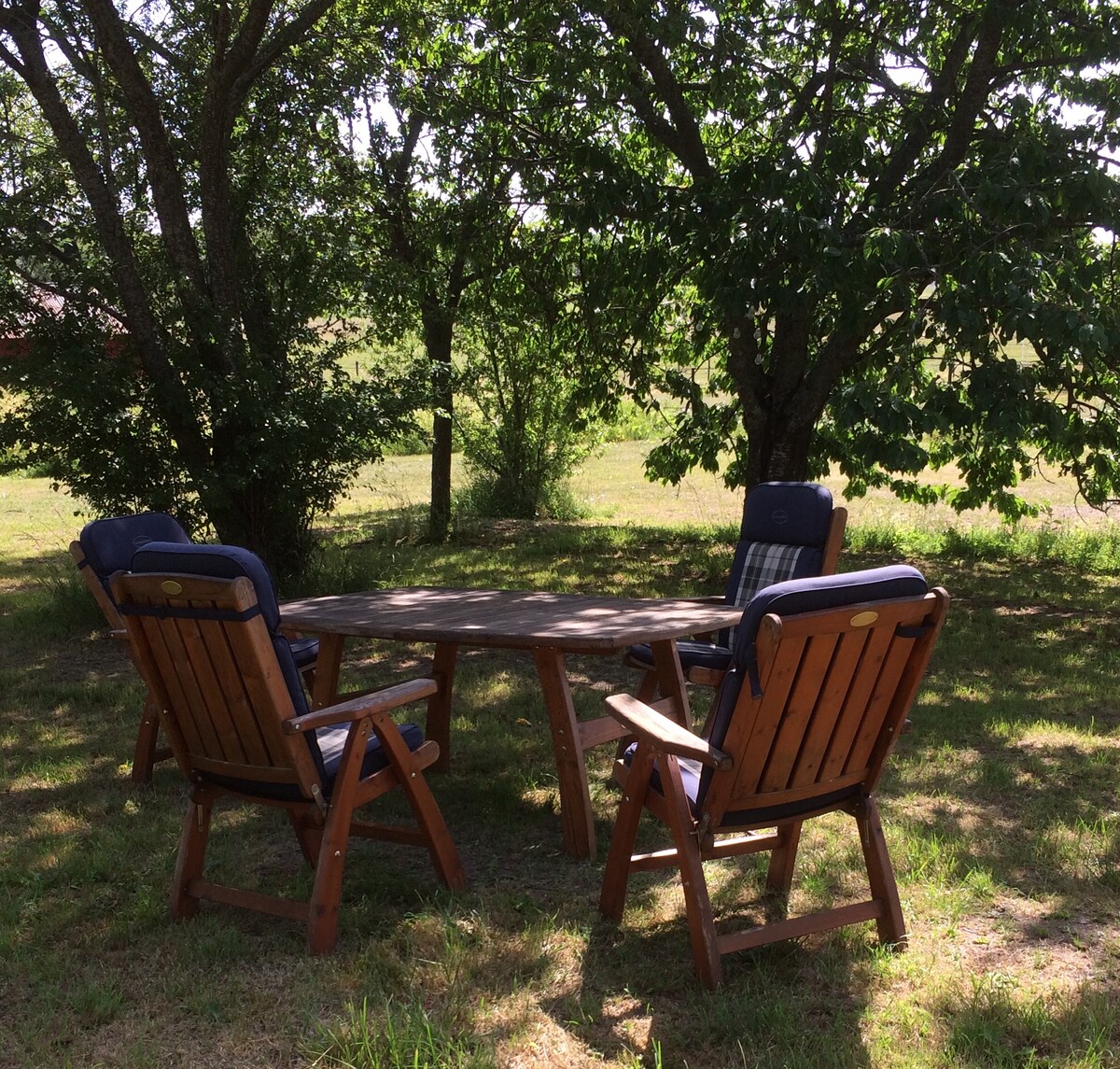 A shaded outdoor seating area is marked by a wooden table surrounded by four comfortable chairs. The space is under the canopy of trees, offering a tranquil environment. Green grass and foliage are visible in the background, enhancing the natural setting.