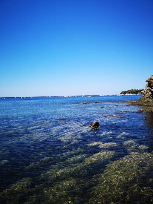 Spiagge rocciose