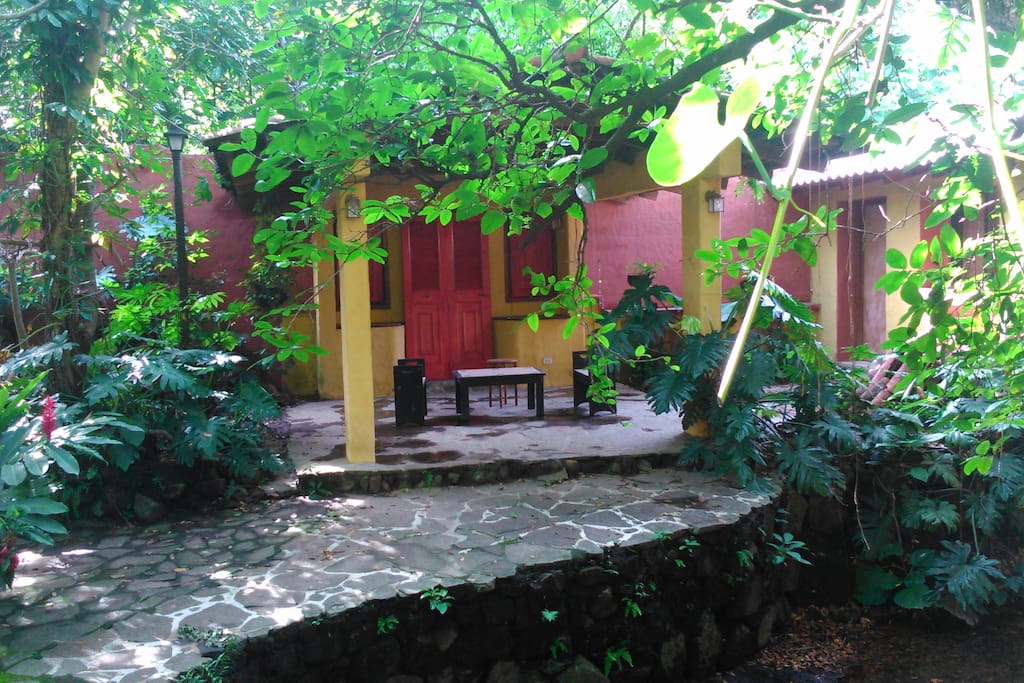 garden
