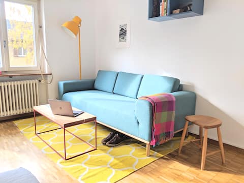 Successful Airbnb property: Cozy studio with great city and lake connections in Zürich