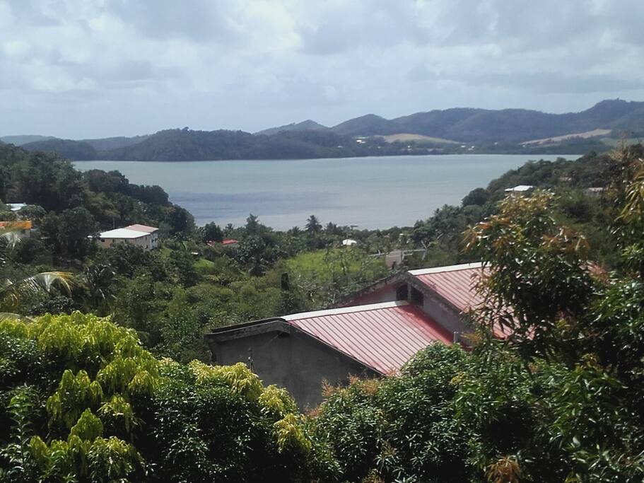Panorama