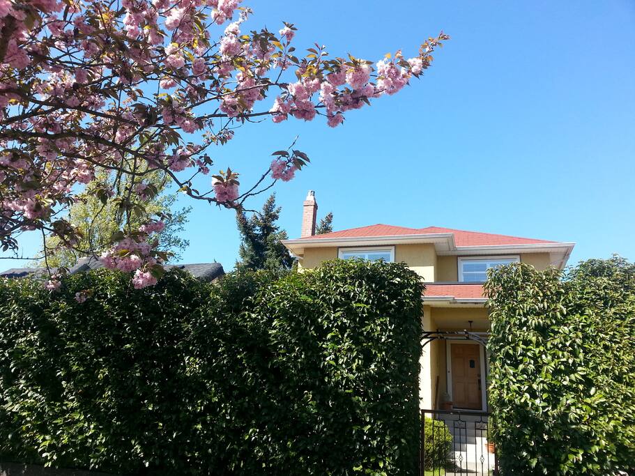Welcome to my Kitsilano Character home
