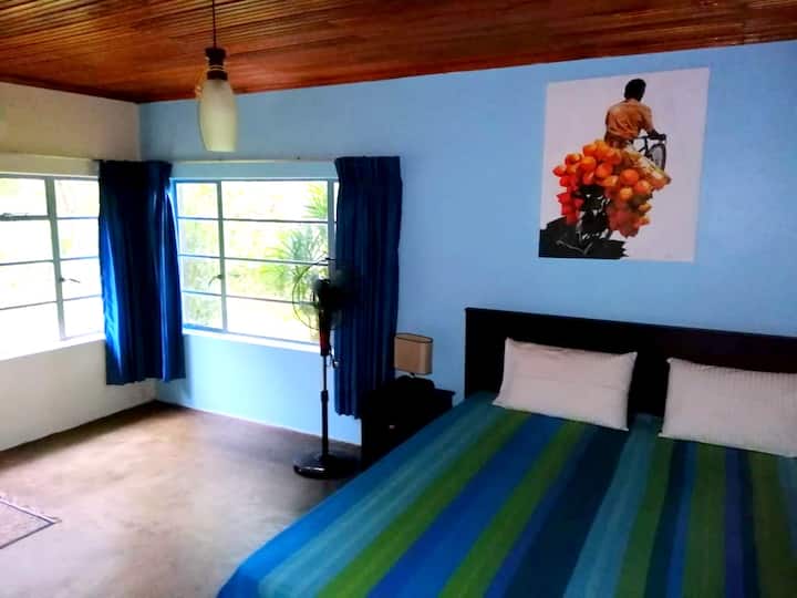 Izba 1 - manželská posteľ King