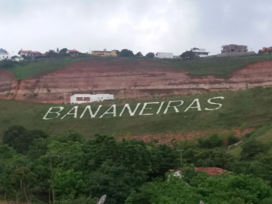 CHEGADA DE BANANEIRAS
