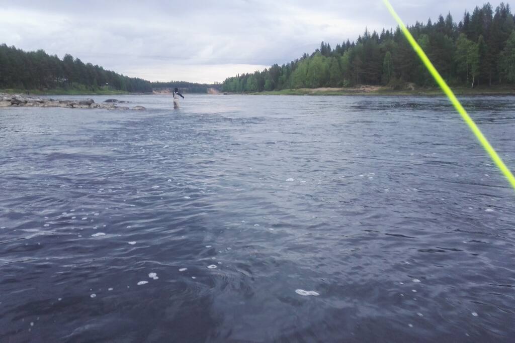 Tikkasenkari 3km mökiltä