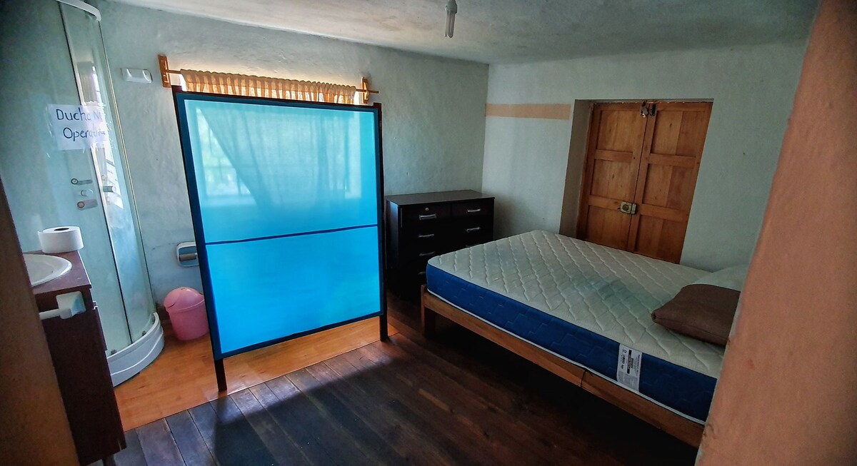 A serene bedroom features a spacious bed accompanied by a single pillow. A partially visible blue divider offers privacy, while a wooden cabinet and a pink container add subtle color. Natural light is provided by a nearby window, enhancing the room's calm ambiance.