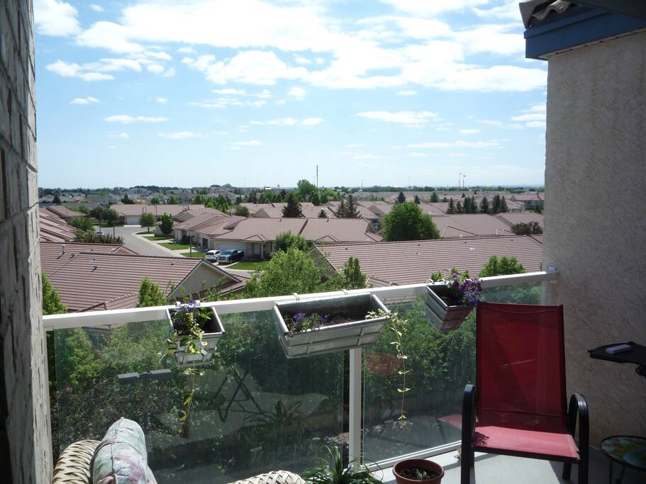 View