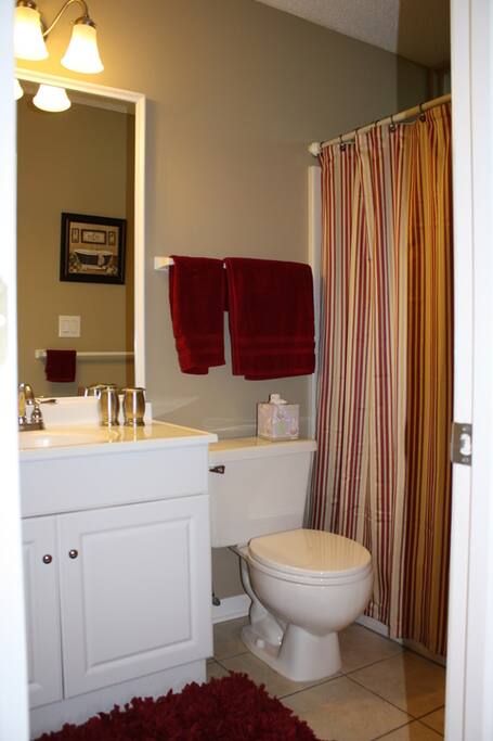 Guest bathroom