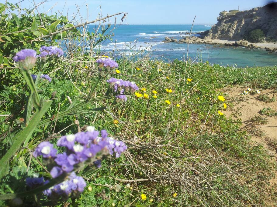 nature reserve