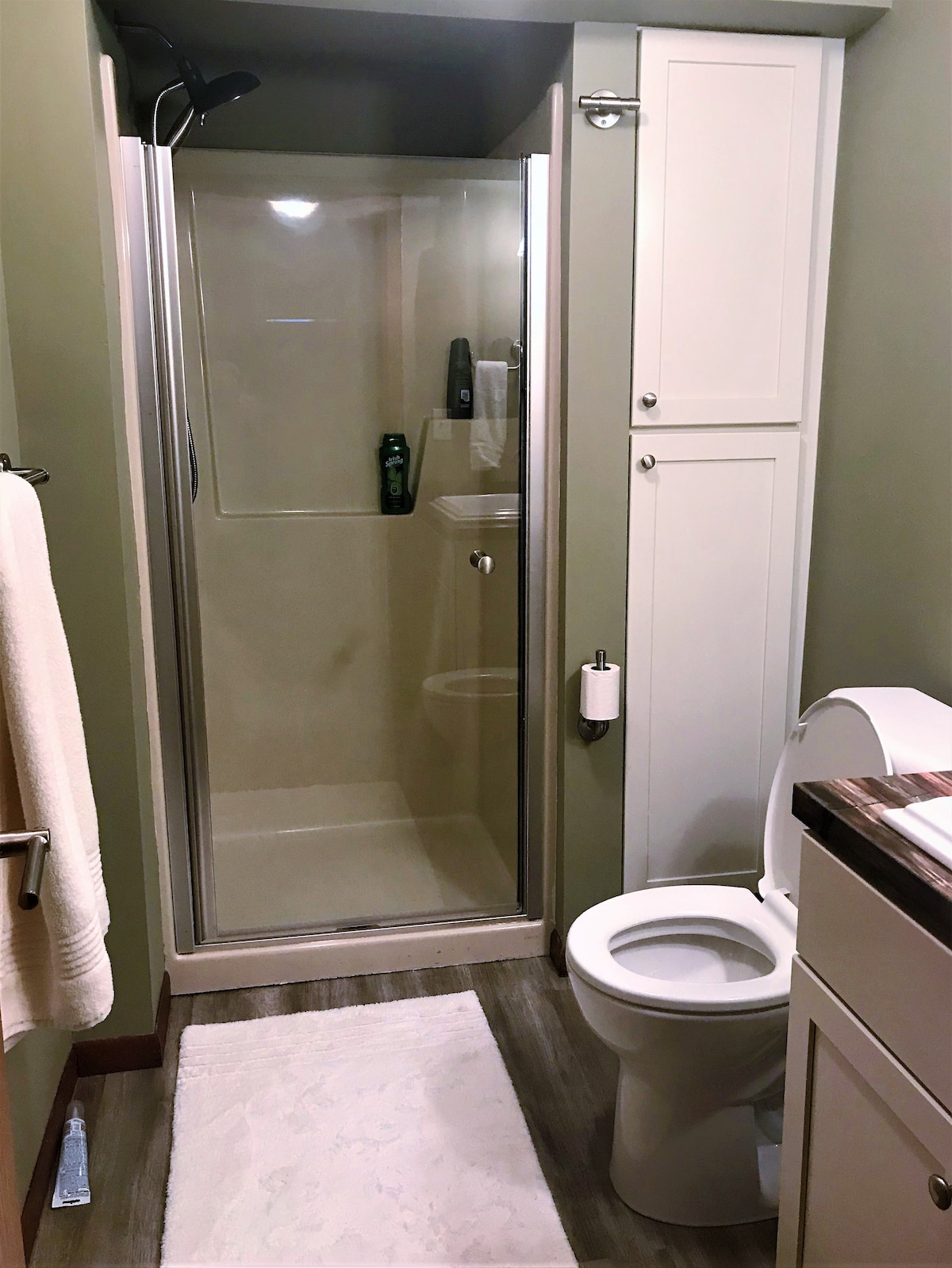 A modern bathroom is presented, featuring a glass-enclosed shower with a built-in shelf. A white toilet is positioned next to a light-colored vanity with storage. The floor is covered with a soft rug, and a towel hangs neatly on a nearby rack.