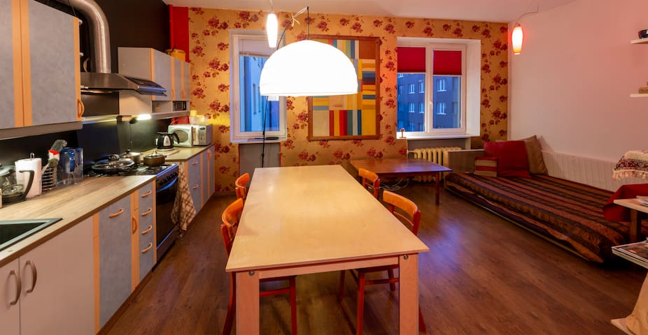 Cosy centric apartment, 2 spacious rooms