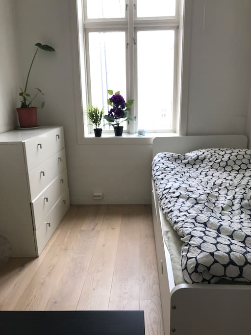 Your privet room