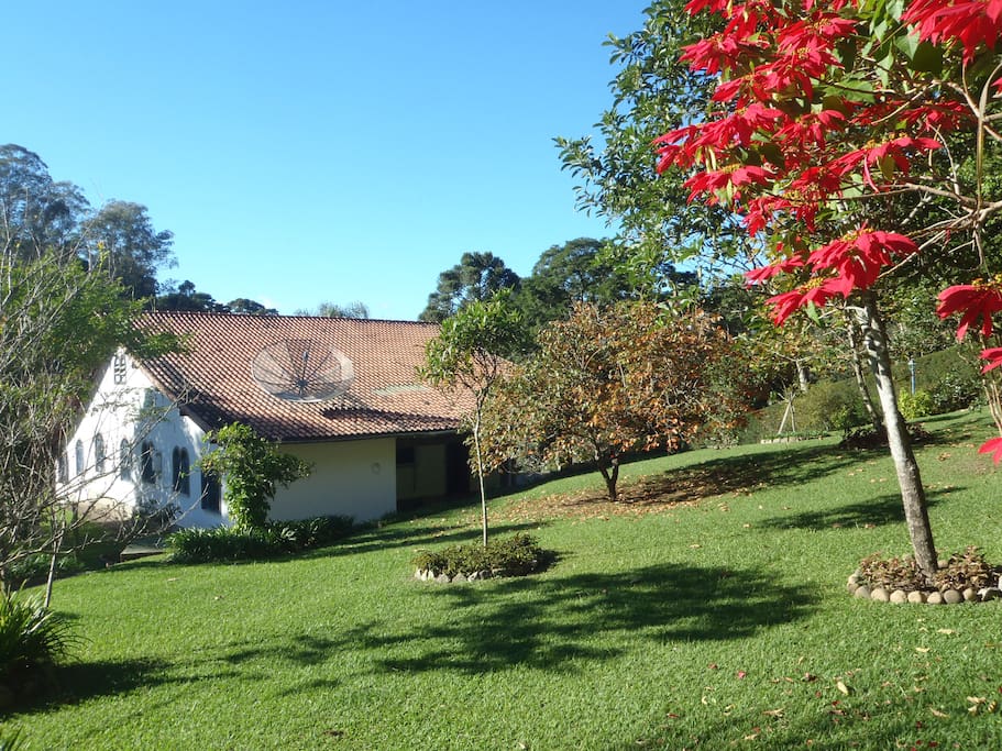 fundos / back yard