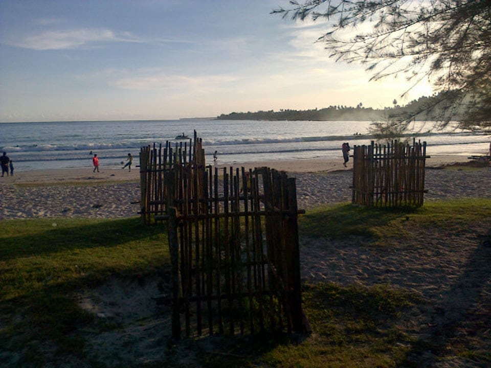A scenic beach landscape showcases sandy shores meeting calm waves, with visitors enjoying the water. Rustic wooden fences provide an organic frame, while lush greenery and a distant coastline are visible under a soft evening sky.