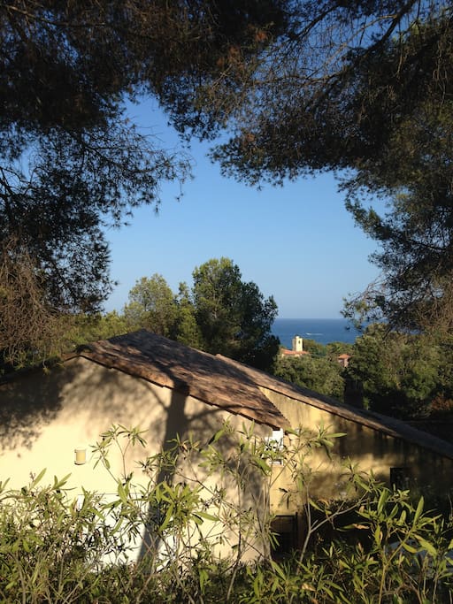 La maison dans les pins