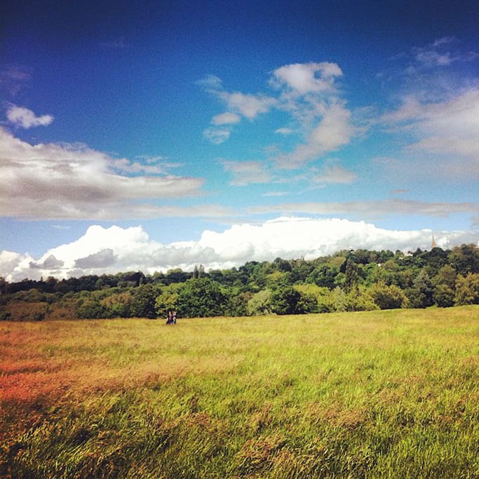 Foto van Hampstead Heath