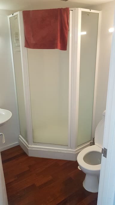 Bathroom, shower-- also washing machine
