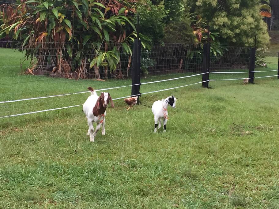Bob & Jack