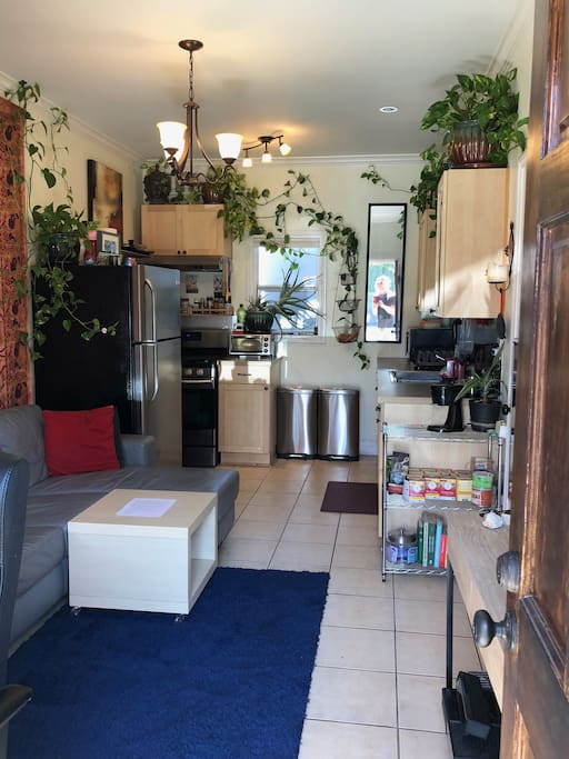 Kitchen/Living Room