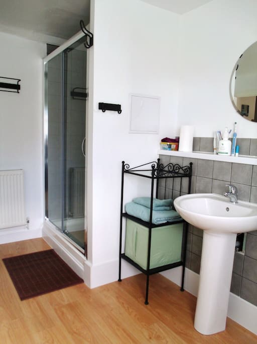 Modern bathroom with large walk-in shower