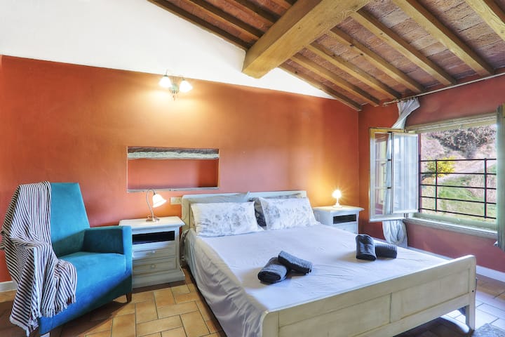 chumba cha 1 colombaia