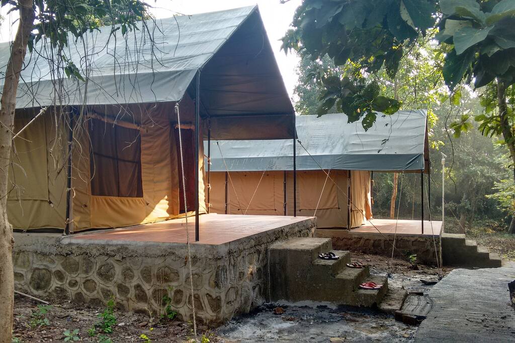 Jungle Safari Tents!! An amazing experience!!