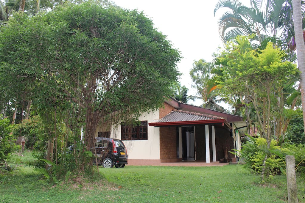 Lovely Garden with Ample Space