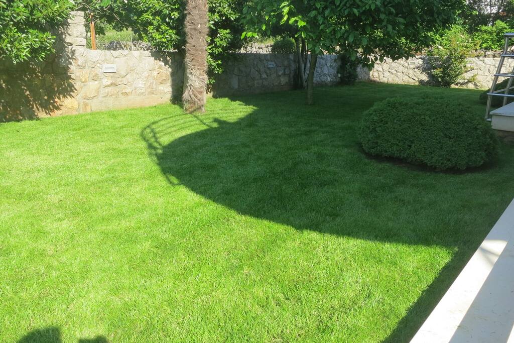 Garten