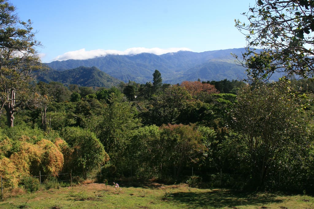 spectacular view, spacious yard