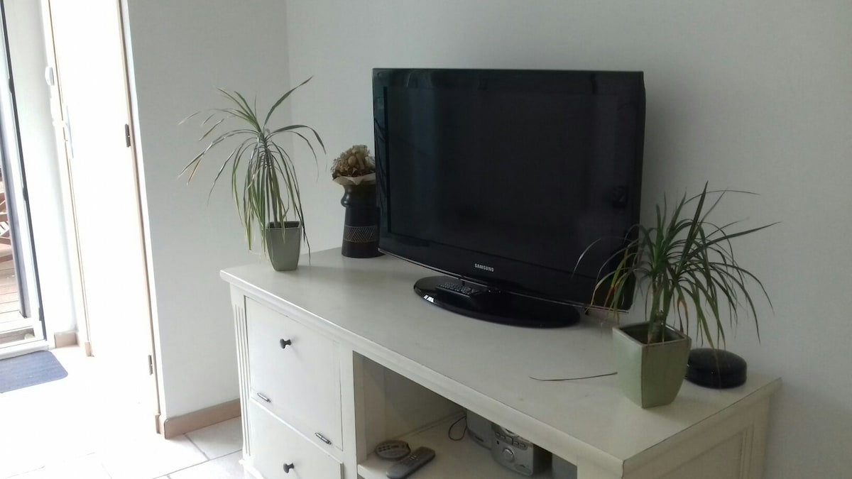 ბრტყელეკრანიანი ტელევიზორი. DVD-დამკვრელი, hi-fi არხი, უფასო WI-FI.