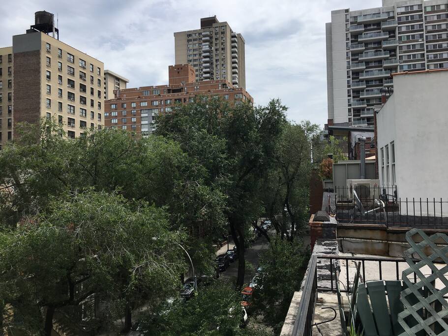View From Terrace