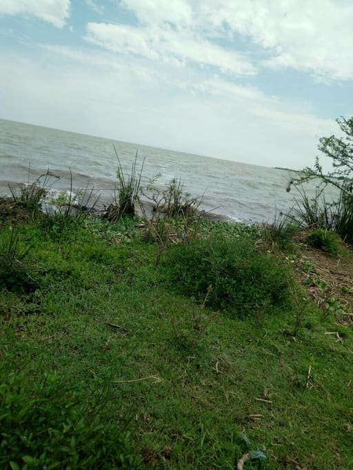 The gentle waves of lake Victoria touching the property