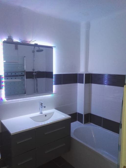 Salle de bain : Baignoire avec douche integré