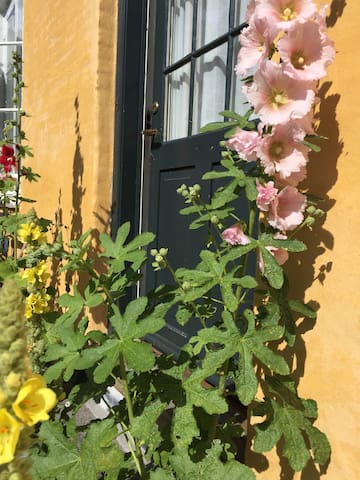 Ikke længere ledig til udlejning